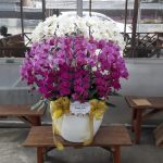 Salah satu keunggulan seni merangkai bunga adalah kemampuannya untuk menciptakan nuansa yang berbeda dengan menggunakan berbagai macam bunga. Bunga memiliki warna, bentuk dan aroma yang berbeda, sehingga ketika dikombinasikan dengan cara yang tepat, dapat menghasilkan karya seni yang menakjubkan.
