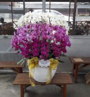 Toko Bunga di Jalan Cibadak Bandung