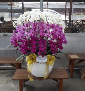 Salah satu keunggulan seni merangkai bunga adalah kemampuannya untuk menciptakan nuansa yang berbeda dengan menggunakan berbagai macam bunga. Bunga memiliki warna, bentuk dan aroma yang berbeda, sehingga ketika dikombinasikan dengan cara yang tepat, dapat menghasilkan karya seni yang menakjubkan.